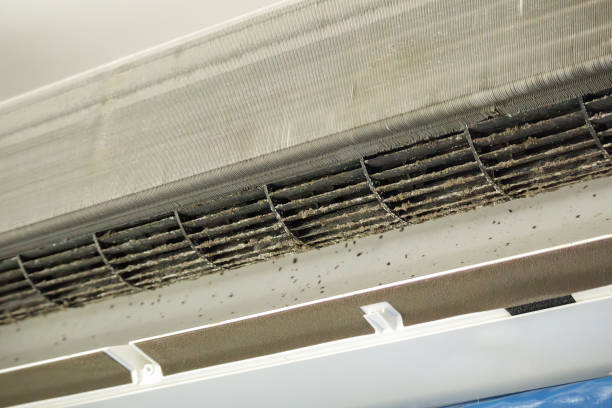 Best Emergency Air Duct Cleaning  in Tryon, NC